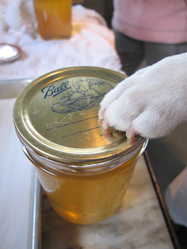I know the drill - hold down the seal.....
