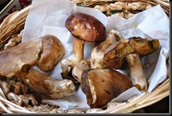 FUNGHI
