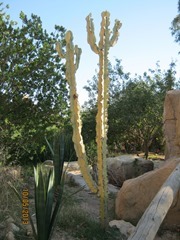 IMG_3448 IMG_3448