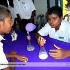 Science Fair 2011