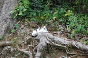 DSC_0795.JPG