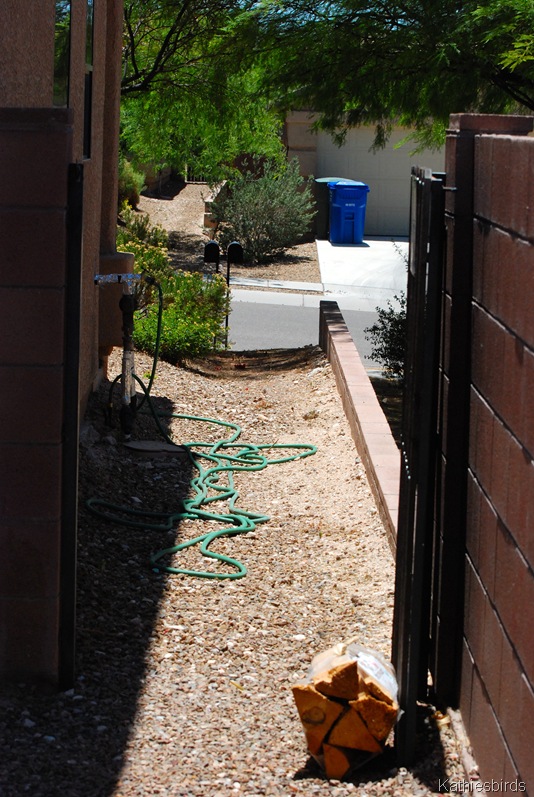 [14.%2520open%2520gate-kab%255B3%255D.jpg]