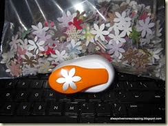 DSCF3519 DSCF3519