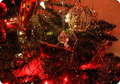 IMG_0085 IMG_0085