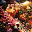 A Colorful Exhibit of Undersea Life - Adelaide, Australia