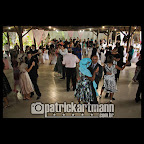 IMG_4333.jpg