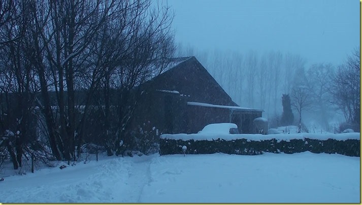 Winter