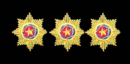 [Coronel%2520PMBA%255B2%255D.png]