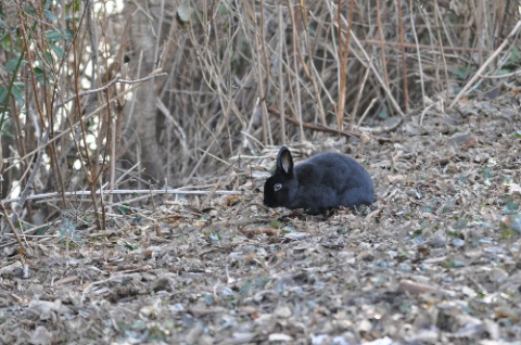 DSC_0148.jpg DSC 0148