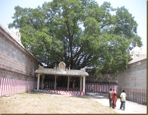 kakalurtiruvangadu 015 kakalurtiruvangadu 015