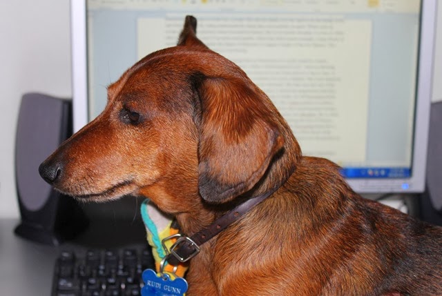 [My%2520day%2520Decor%2520To%2520Adore%2520038-001%255B3%255D.jpg]