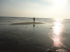 DSC01172.JPG