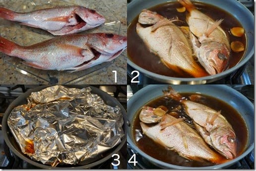 Red snapper samll composit Red snapper samll composit