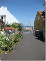 IMG_2284 (Medium)