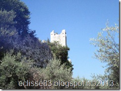 IMG_0156 IMG_0156