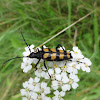 dsc01188.jpg