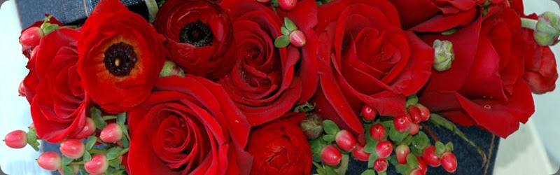 11crop ee