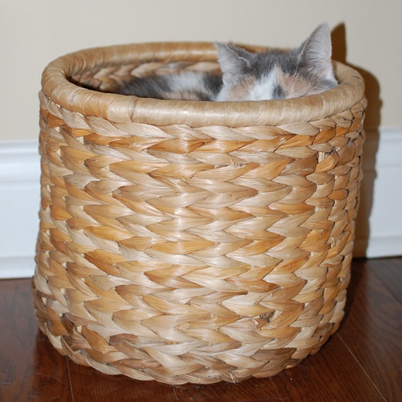 [ROXIE%2520BASKET%255B2%255D.jpg]