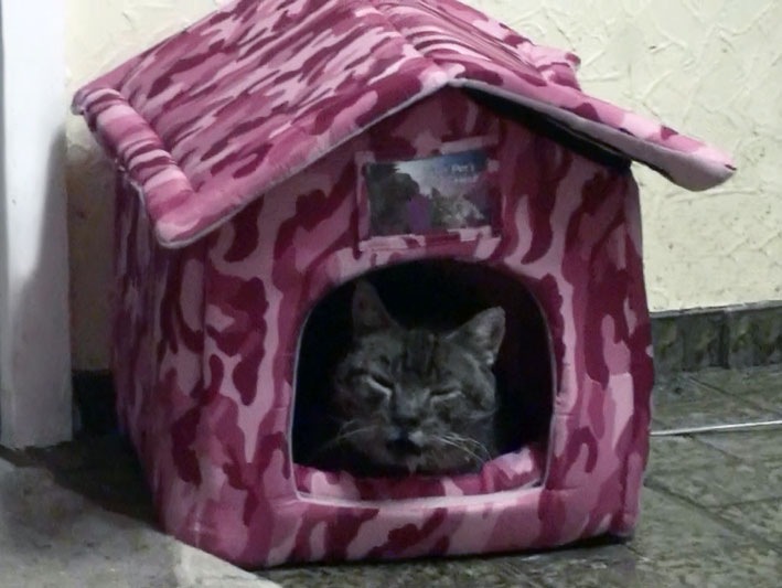 [20121119235838%25281%2529%255B2%255D.jpg]