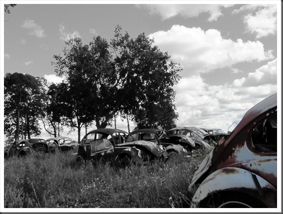 edit.car.6