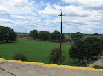 IMG_1378.jpg