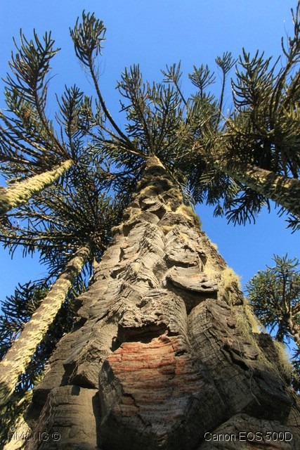 [IMG_5801%255B1%255D.jpg]