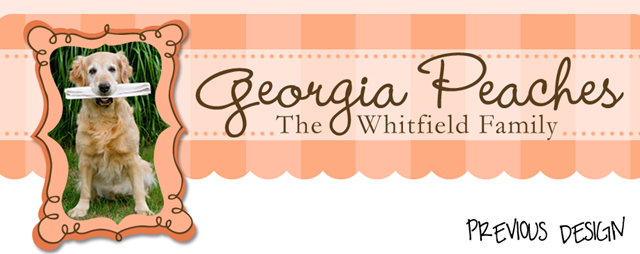 georgiapeachesheader2.fw