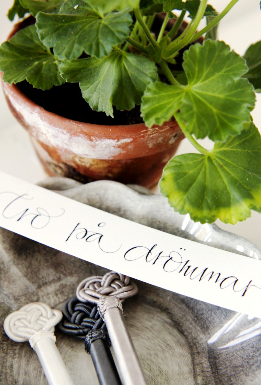 [believe%2520in%2520your%2520dreams%255B2%255D.jpg]