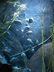 WP_000273.jpg