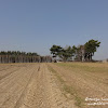dsc06839.jpg