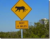 panther%2Bcrossing panther%2Bcrossing