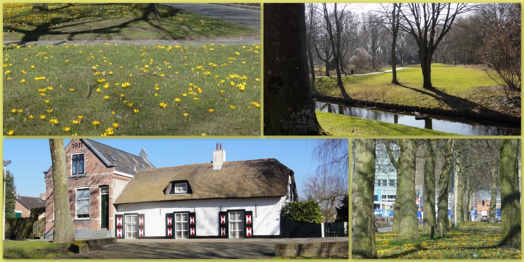[1-barendrecht%2520en%2520buiten%255B6%255D.jpg]