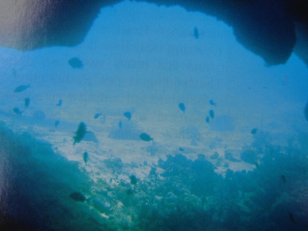 [DSC016053.jpg]