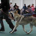 výstava BA 2011 baylin.jpg