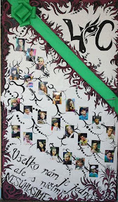33-vase-dvere.jpg