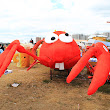 Фотоотчет с Red Bull Flugtag 2011