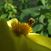 DSCF0658.JPG