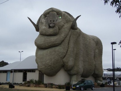big-merino-at-goulburn