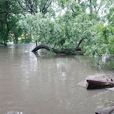 Sunday. View from standing in the gate. Yes, knee deep water.