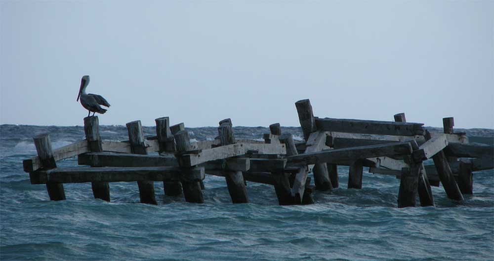 [Pelican_OldDock%255B4%255D.jpg]