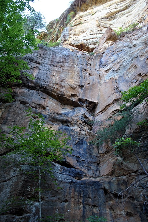 [25---Rock-Garden-Trail---Cliffs-seem.jpg]