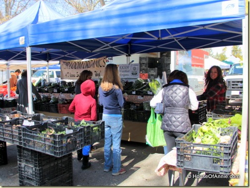 Heirloom Organics stand at Saratoga Farmer's Market