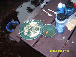 sd530817_20090329_1195647947.jpg