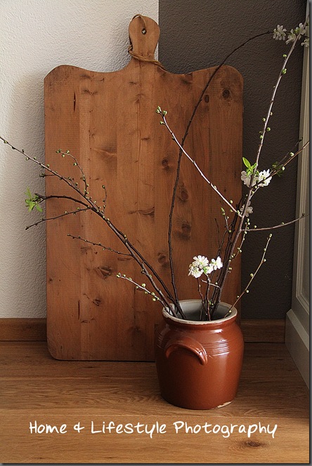 Home & Lifestyle Home & Lifestyle
