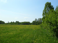 SAM_5508.JPG Photo
