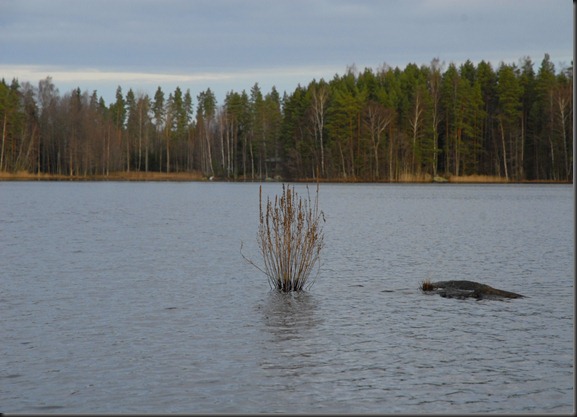 vensbergin kurvi ja haukijärvi 064 vensbergin kurvi ja haukijärvi 064