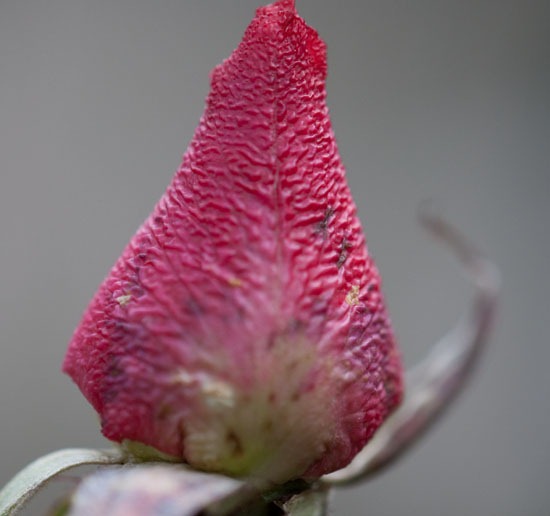 [DSC_3416%255B4%255D.jpg]
