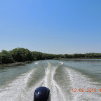DSCN0205.JPG