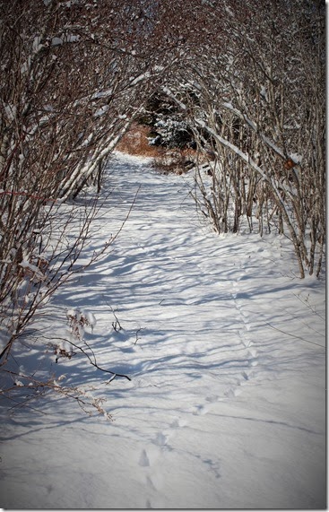 IMG_2997 IMG_2997