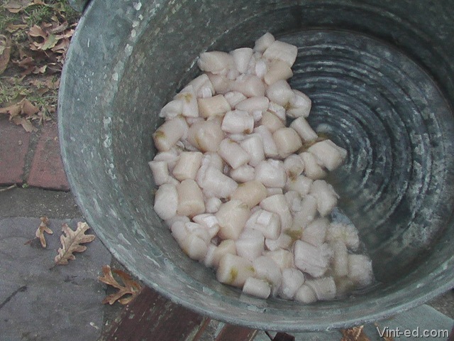 [Scallops%25202%255B7%255D.jpg]